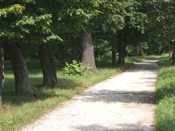 Zabytkowy Park w Makowie idealny na rodzinne spacery i spędzanie wolnego czasu ....