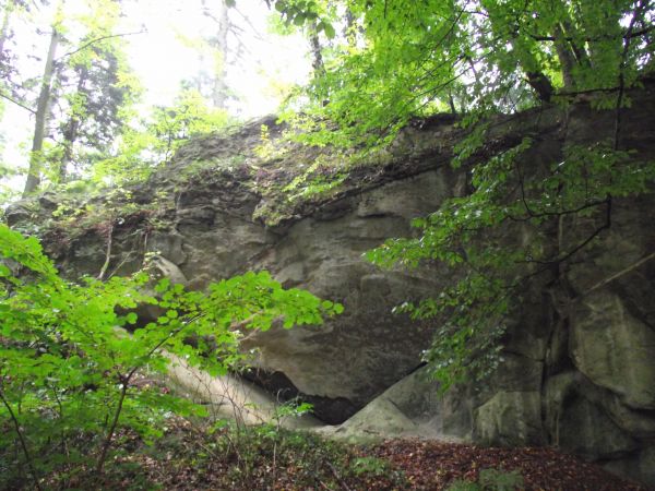 "Ściana skalna pod Kostryniem" - pomnik przyrody, niegdyś czynny kamieniołom.
