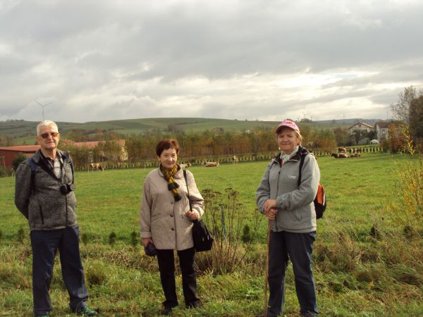 za nami : tzw. wygon a na nim pasące się krowy, hen - po prawej więcej ale i na  lewo: turbiny wiatrowe. Niebo wprawdzie zachmurzone ale padać nie będzie - wycz