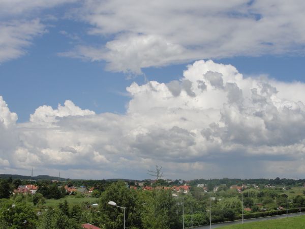 Ulica Przenna i ogródki
