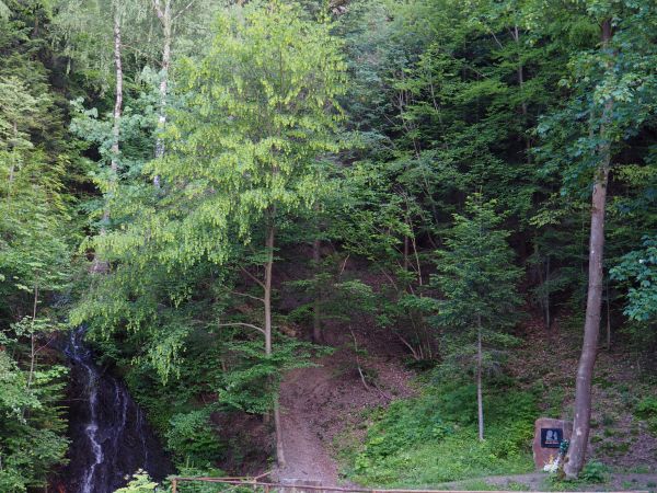 po lewej wodospad spływa, pośrodku na obelisku tablica w intencji beskidzkich wędrówek naszego papieża a po prawej plansza w projekcie Szlakiem Papieskim.