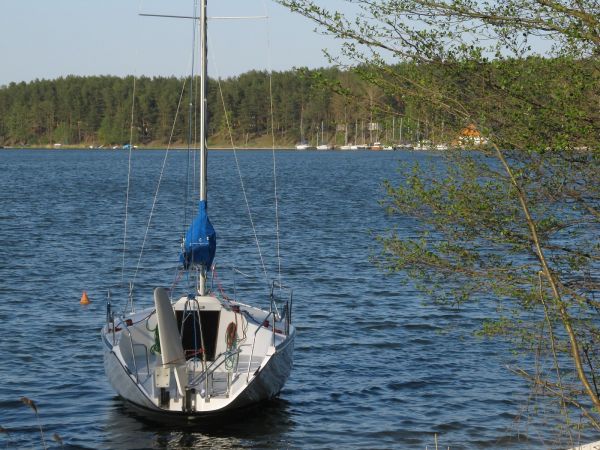 Na brzegu jeziora Wdzydze przy OW Czarnowodzianka