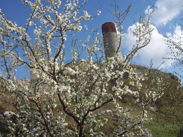 Zamek Olsztyn wzniesiony został na miejscu wczesnośredniowiecznego grodu, rozbudowany w latach 1349-59 z inicjatywy Kazimierza Wielkiego, dla obrony pogranicza