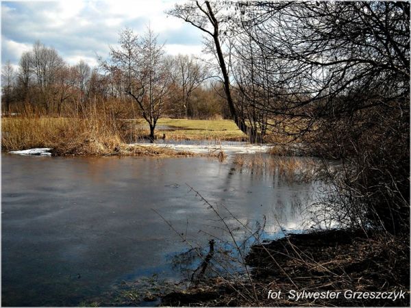 Dolina Iłżanki, roztopy