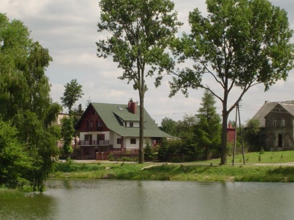 Takich drzew już nie ma.