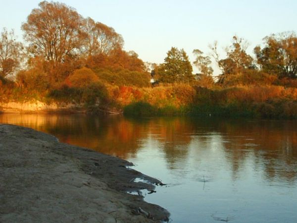 Jesień na plaży w parku