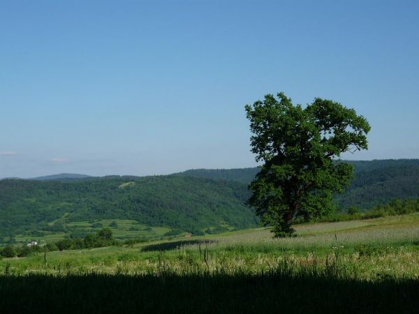 Harbutowice. Widok na Pasmo Babicy. Na pierwszym planie "Dąbek"k.os. Na Granicach.