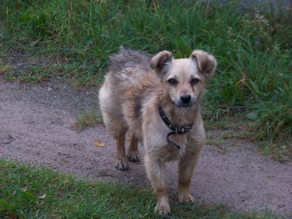 Kolejny podrzutek na terenie ośrodka po urlopowym wypoczynku.