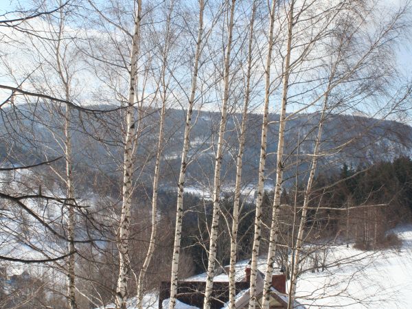 Fot. Ewa Kamila Jabłońska