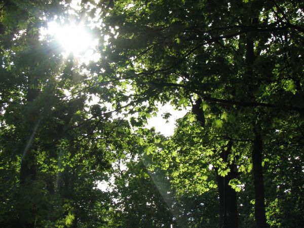 Stargard Szczecinski