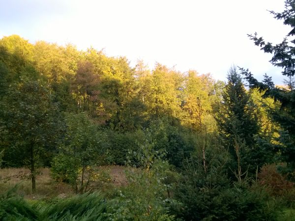 Początek jesieni w Kaczorowie