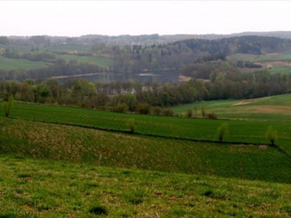 zdjecie Widryny