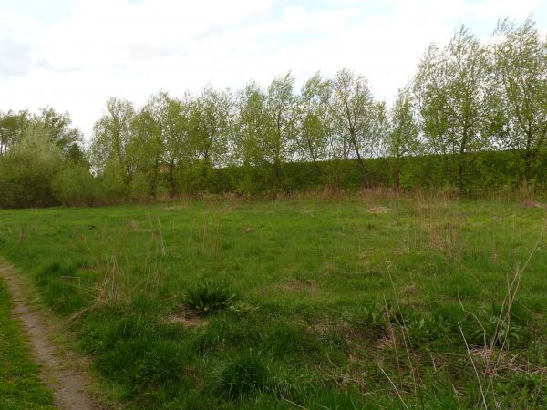 zdjecie Szymanowice Duże