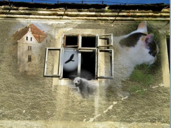 FRAGMENT MAŁY DOMU GDZIE SIĘ MIESZKAŁO ALE DEMOKRACJA MA WIĘKszE POPARCIE i solidarność jak radość