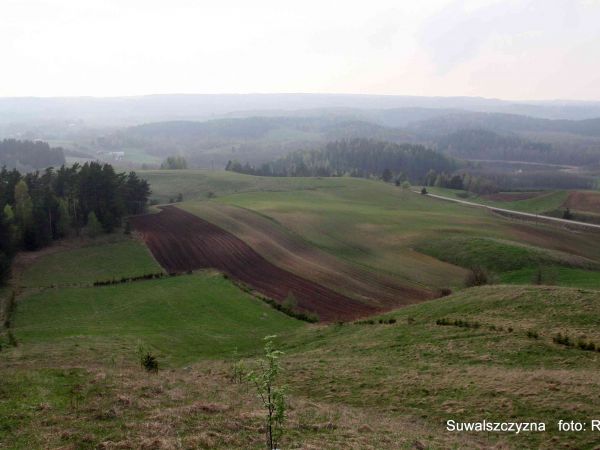 Zdjęcia Gulbieniszki