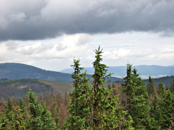 Widok z Baraniej Góry.
