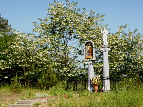 Zdjęcia Budy Łańcuckie