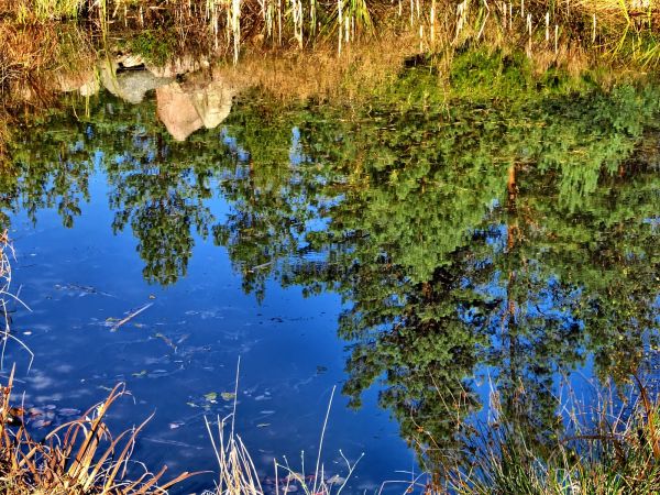 W stawku można się przeglądnąć