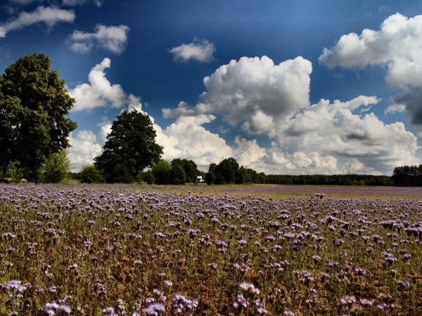 pierwszy dzień lata