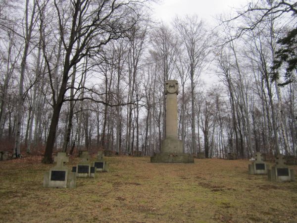 Zdjęcia Dąbrówka Szczepanowska