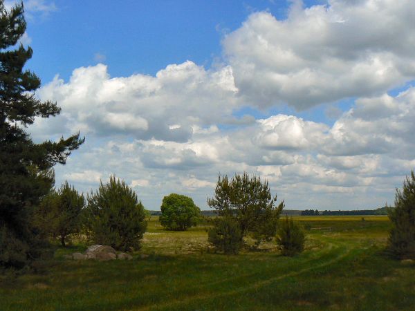 zdjecie Tyniewicze Duże