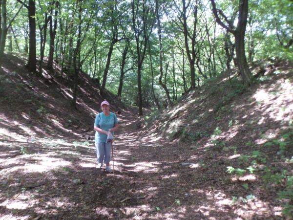 las łęgowy o urokliwej topografii i atrakcyjnej poznawczo - relaksacyjnej ofercie w temacie poznawania okolicy i jej walorów przyrodniczych.