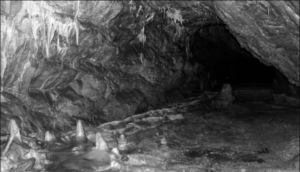 Jaskinia Niedżwiedzia (12)