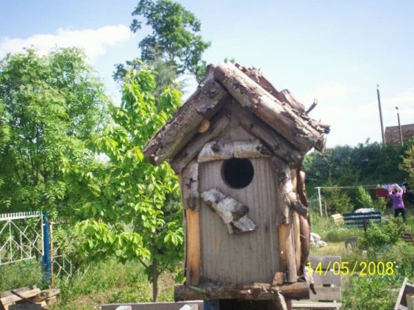 Nie tylko ludzie cenią ciszę i spokój...