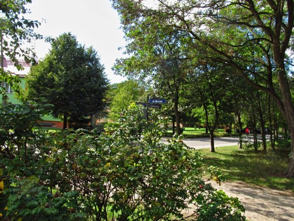 Skrzyżowanie Słowackiego z Okrężną.