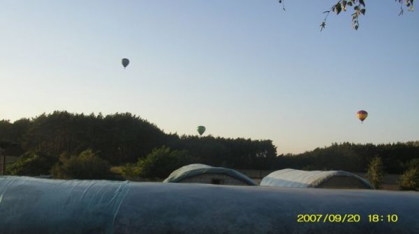 Balony nad Osieczną