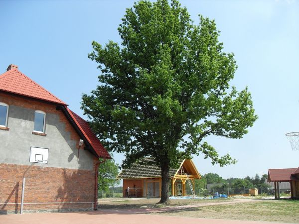 zdjecie Bartel Wielki