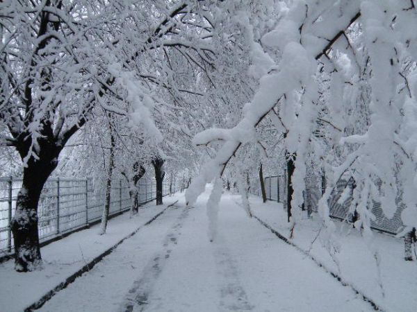 Ośrodek wypoczynkowy  , urok zimy