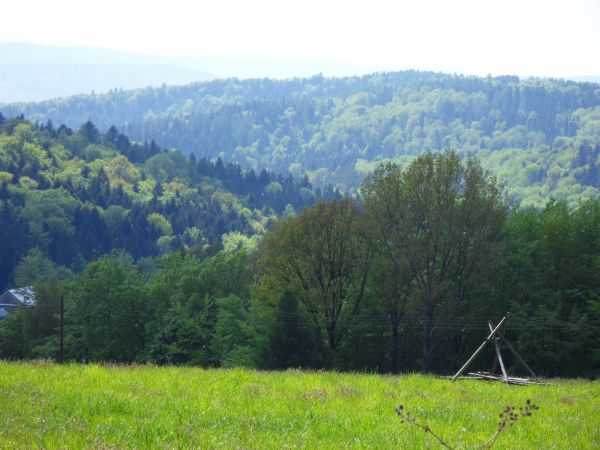 zdjecie Kąty Luteckie