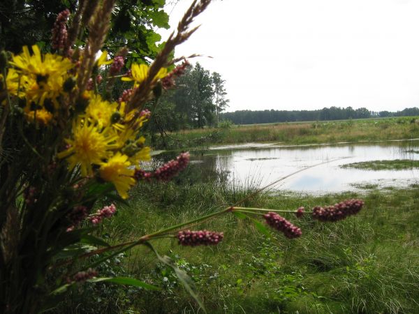 zdjecie Podłęże Królewskie