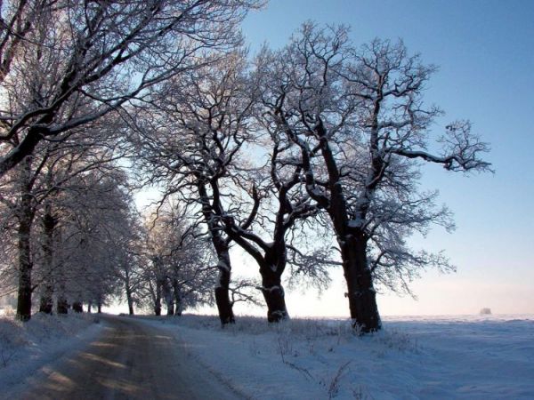 Zjazd z drogi nr 6 do Wieszyna