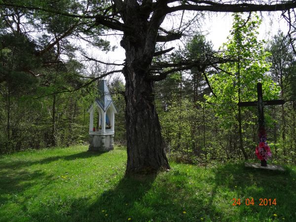 świadkowie i pamiątka dziejów - formą oddawania czci krzyżowi i przy kapliczkach było zdobienie ich kwiatami i palenie przy nich świec oraz sadzenie drzew - to