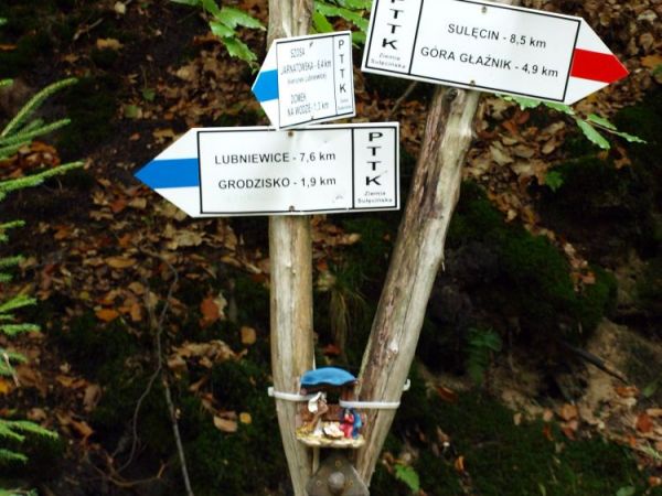 Węzeł szlaków rowerowych koło Czerwonego Potoku