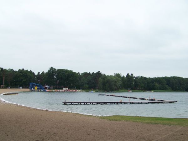 Morska piana na brzegu jeziora