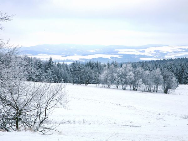 Zima w Pasterce w górach Stołowych. Malutka, malownicza wioska u samego podnóża Szczelińca Wielkiego jest unikalną już oazą ciszy i spokoju zadziwiając przy tym