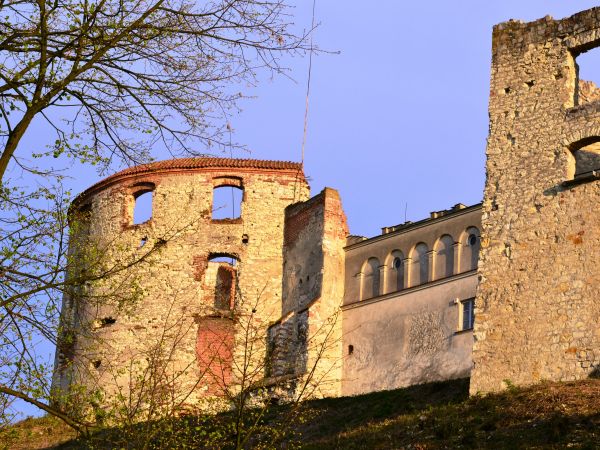 Fragment zamkowego muru