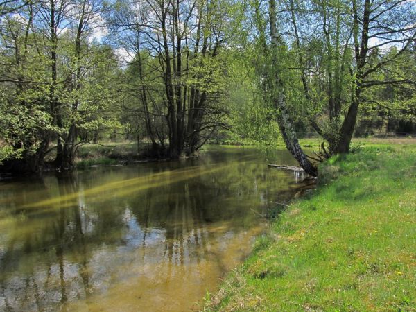 Kanał rzeki Wdy oraz teren nad nim położony