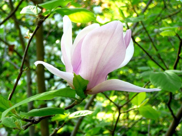 ALEŻ JESTEM PIĘKNY!