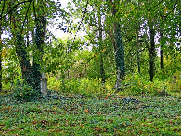 Murowana cerkiew p.w. Opieki NMP . Zbudowana w 1913 r. Wewnątrz cenna polichromia. W latach 1947-71 - magazyn. Obecnie opuszczona i zaniedbana. Zaniedbany cment