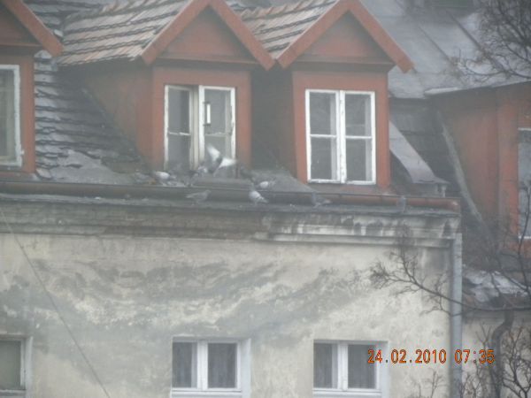 Widok  z  mojego  okna.