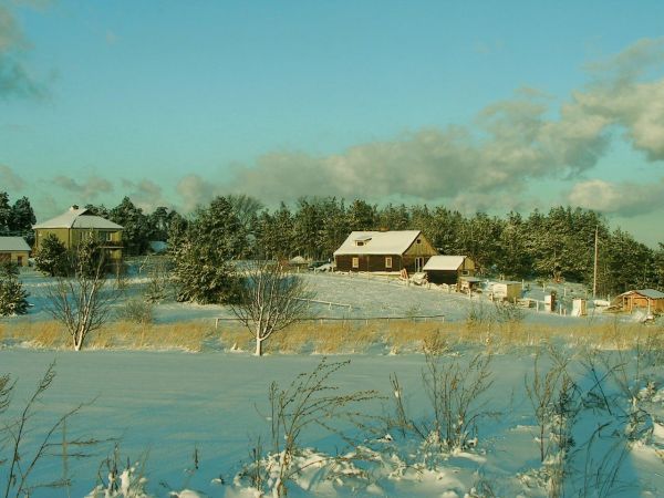 zdjecie Wola Uhruska