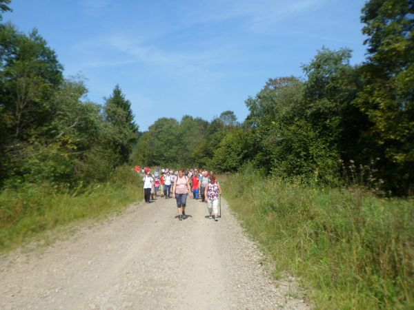 wędrujemy od kamieniołomu tzw. drobnego - tu kierujemy się do Chatki Studenckiej "Huczwice" - ale wcześniej przez mostek nad Rabiańskim Potokiem do Rezerwatu ge