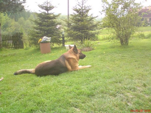 zdjecie Hucisko Jawornickie