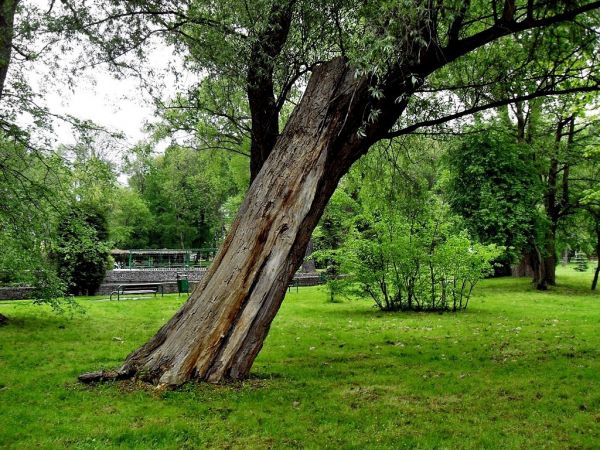 W Starogardzkim Parku nad Wierzycą
