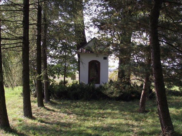 aleja cmentarna do kaplicy św Dawida - cmentarz choleryczny, folder UG Zarszyn wspomina epidemię chorób zakaźnych z 1715 roku - informacje na tablicach tj. obok