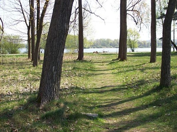 zdjecie Boguchwałowice